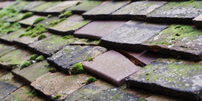 Dafen roof repair costs